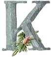a watercolor painting of a letter k with flowers.jpg